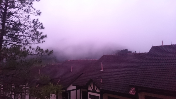 the cameron fog